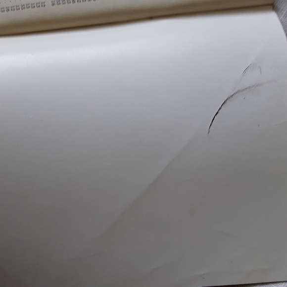 Vintage Culinary Art Institute Chicago Cookbook 1956 - Picture 4 of 8